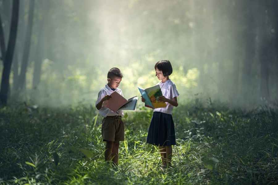 two children reading books in a sunlit forest