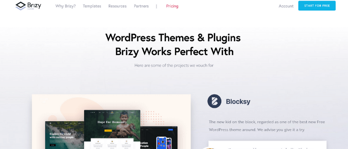 WordPress Page Builders Brizy Theme